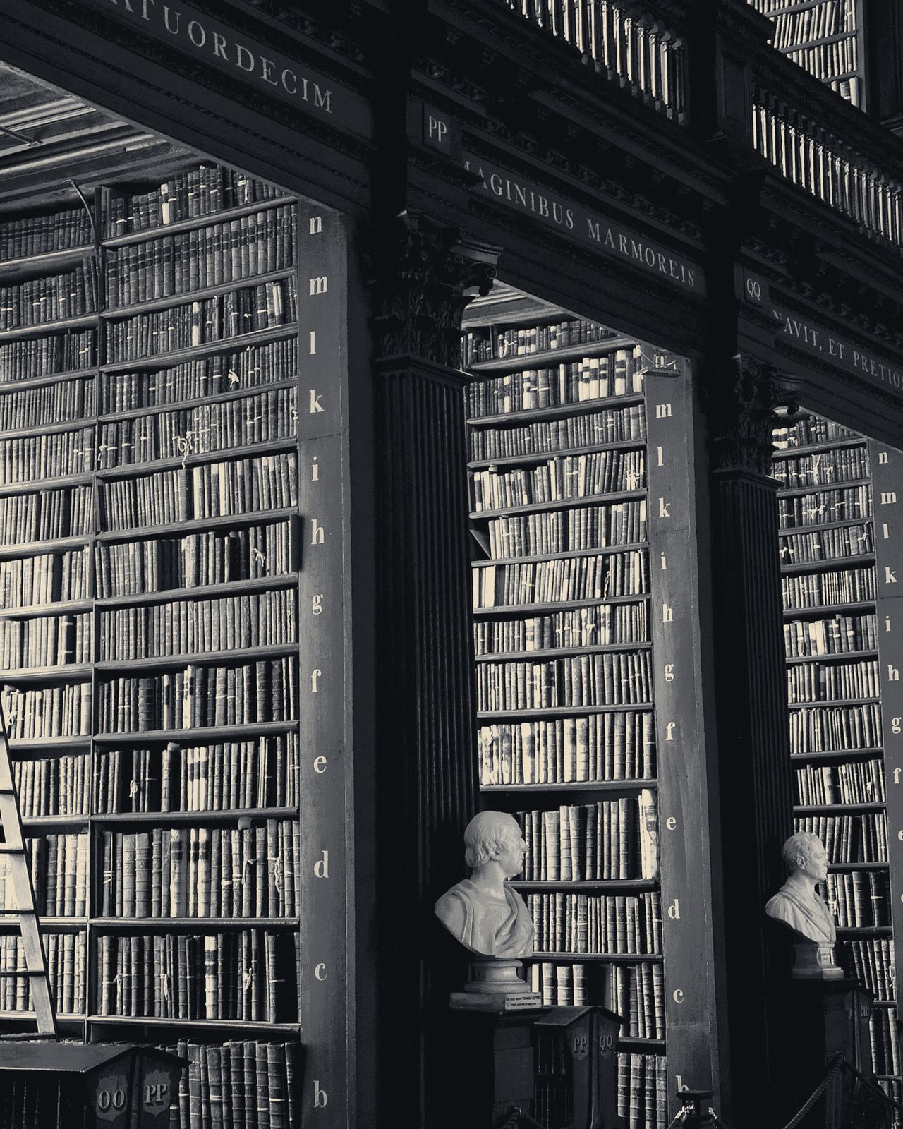 Estantería de una biblioteca jurídica en penumbra.